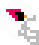 Arizona Cardinals