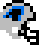 Carolina Panthers
