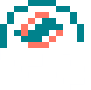 Miami Dolphins